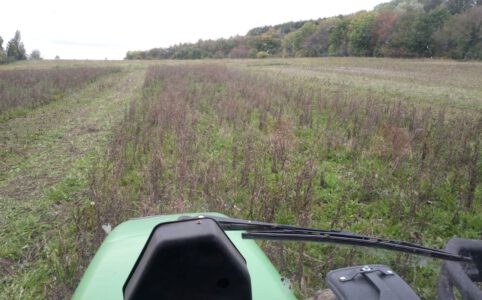 Aussicht auf die vorzubereitende grüne Fläche aus einem Traktor heraus.