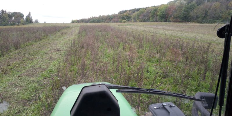 Aussicht auf die vorzubereitende grüne Fläche aus einem Traktor heraus.